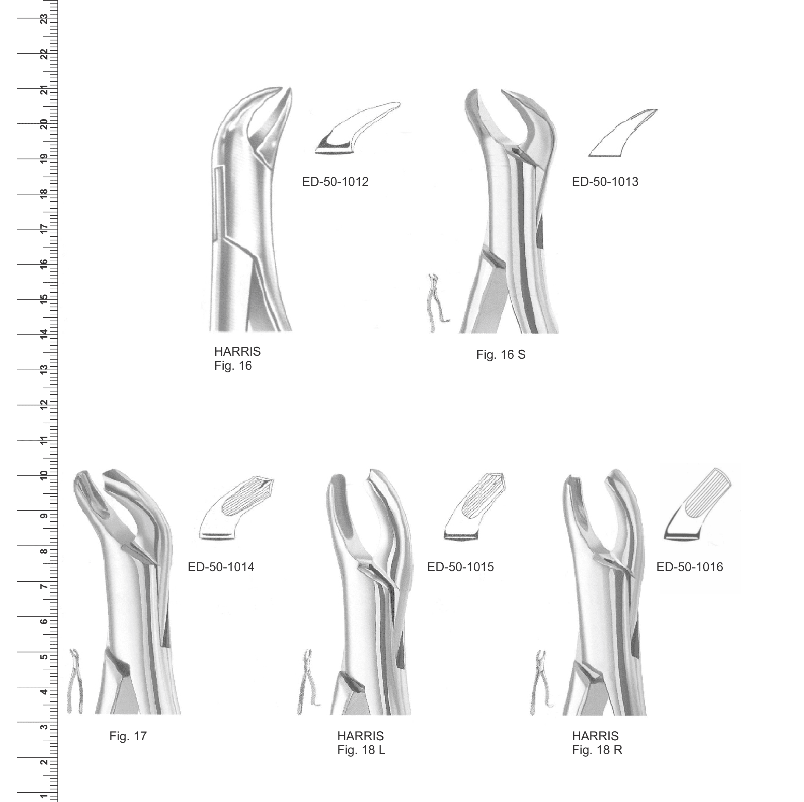 American Pattern Extracting Forceps